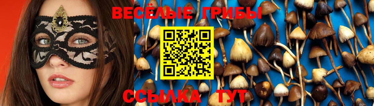Галлюциногенные грибы мухоморы Калининград